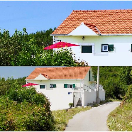 House Lucia Βίλα Brstanovo Εξωτερικό φωτογραφία
